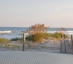 beachfront properties for sale wild dunes